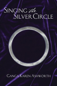 Silver Circle Book Cover